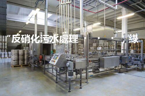 “反硝化污水處理，綠色環(huán)保新篇章”